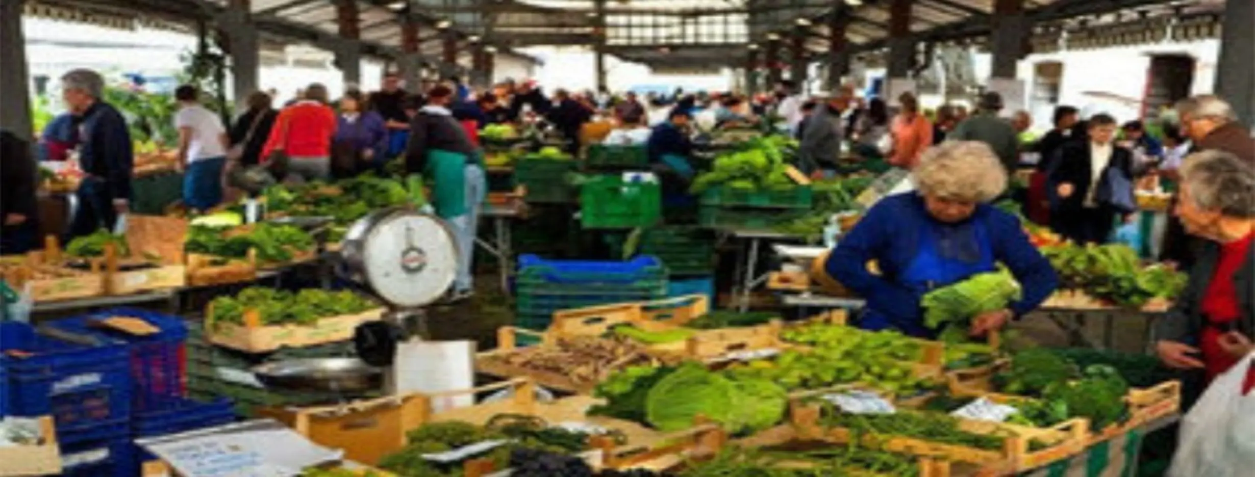 Image for Local Market Exploration